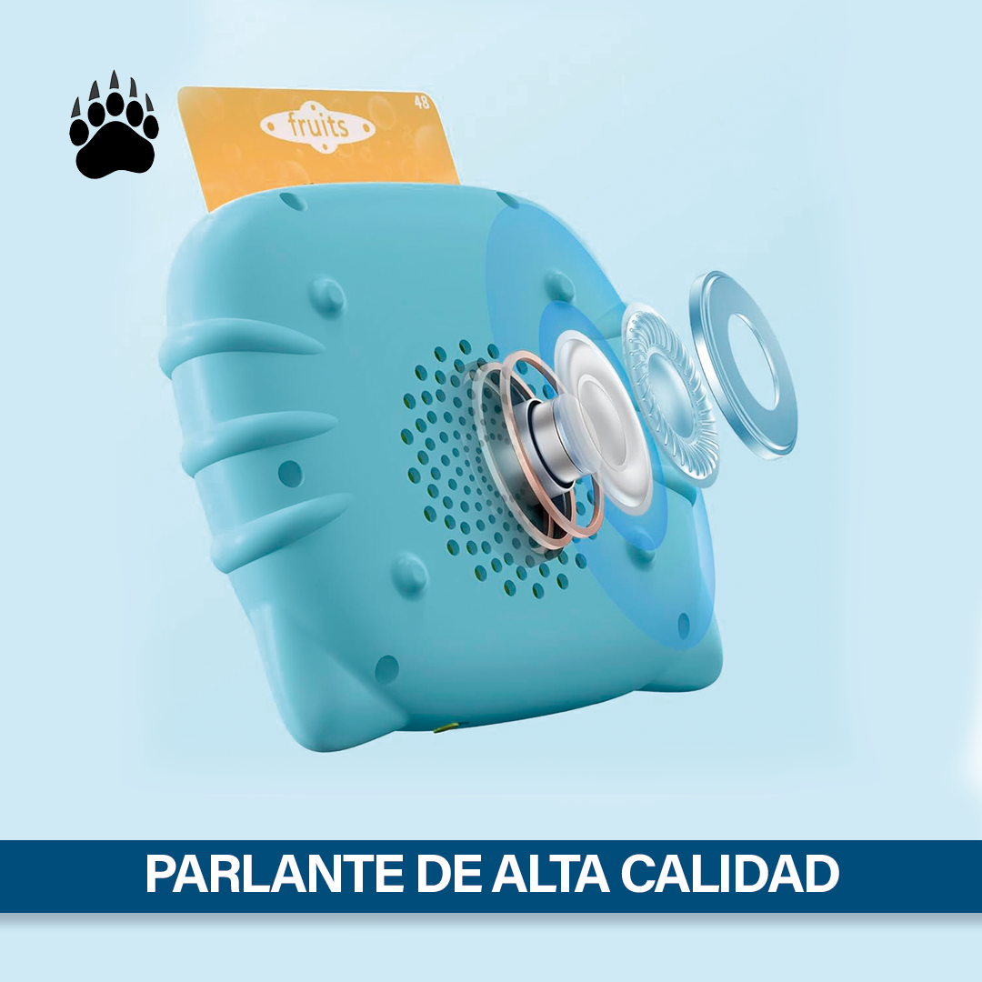 Juego Tarjetas Educativas Sonido Bigan Pizarra Mágica Niños