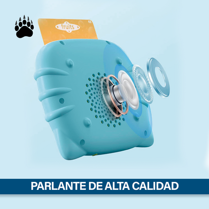 Juego Tarjetas Educativas Sonido Bigan Pizarra Mágica Niños